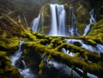 Downing Creek Falls, Oregon