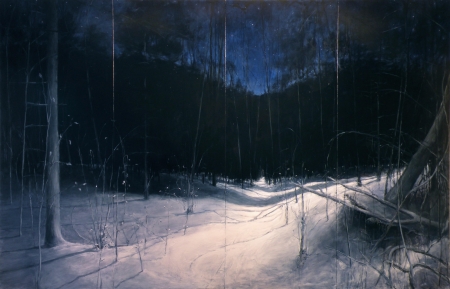 Winter - night, Winter, tree, snow