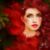 Red Beauty