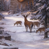 Deers