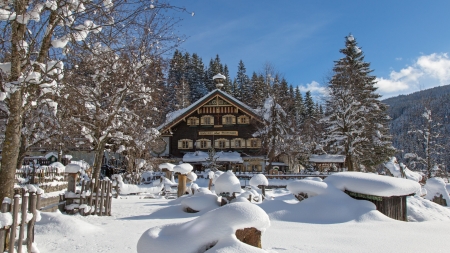 Dreamy Winter at Filzmoos, Austria - trees, sky, snow, house, landscape