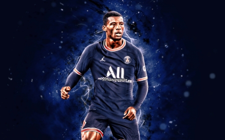 Georginio Wijnaldum - football, wijnaldum, dutch, georginio wijnaldum, PSG, Paris SG