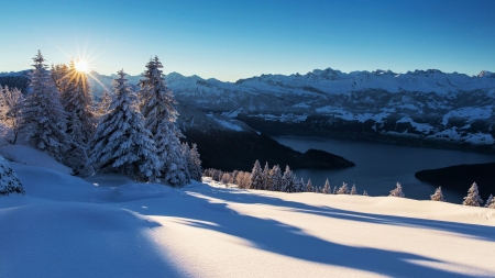 Lake Lucerne, Central Switzerland - trees, alps, landscape, snow, mountains, sky