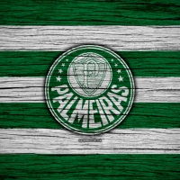 Sociedade Esportiva Palmeiras