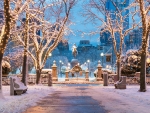 Commonwealth Avenue, Boston