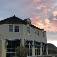 Raven on Roof at Sunrise