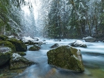 Icy Index Creek, Washington