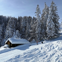 Snowy Winter