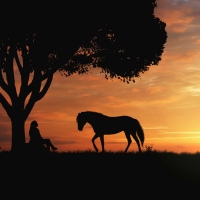 Sunset on a Cowgirl and her Horse