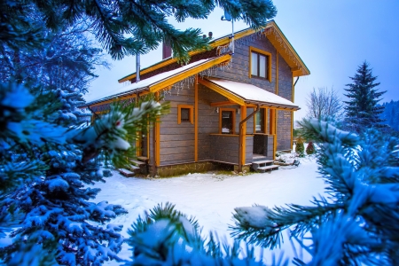 Winter house - house, trees, beautiful, fir, forest, ice, winter, frost, pine, snow, cottage