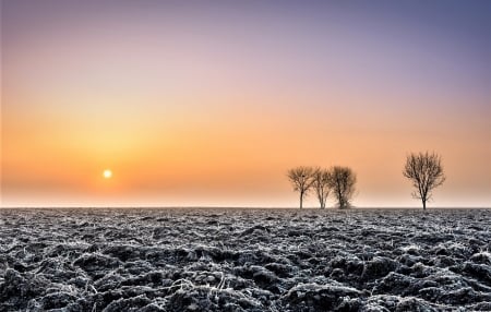 frozen ground - earth, winter, trees, sun