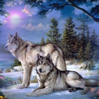 wolves in the forest