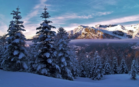 Saint-Leger-Les-Melezes, French Alps - clouds, trees, winter, landscape, snow, mountains, sky