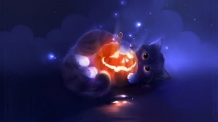 kitty playing with pumpkin - halloween, kitten, jack-o-lantern, playing