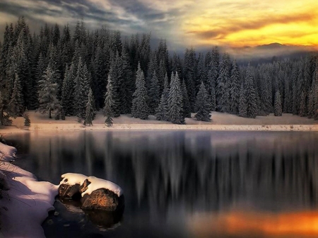 winter lake - lake, winter, trees, dark