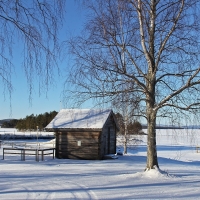 Winter Lake in Sweden