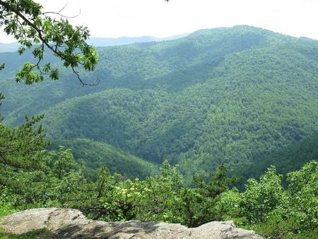 Overlook at 20 Minute Cliff - blue ridge parkway, va, parkway, blue ridge mountians