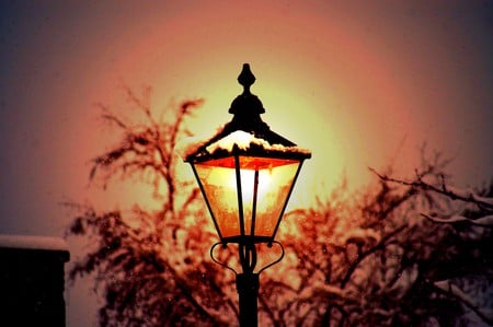 Street light - streetlight, winter, street light, evening, chrismas, photogrophy, lamp, light, street, street lamp