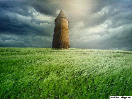 beautiful field near tower - blue ski, wind, dream, tower