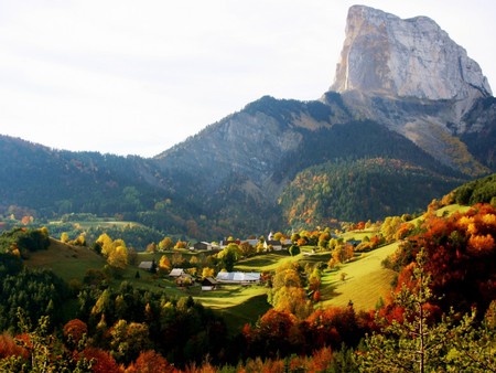 Small village - trees, forest, beautiful, flowers, rocks