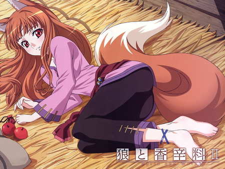 spice and wolf - wallpaper, anime girl, other