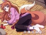 spice and wolf