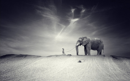 EVENING WALK - chained, creative, walk, elephant, girl, art