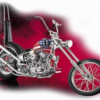 Easy Rider Bike