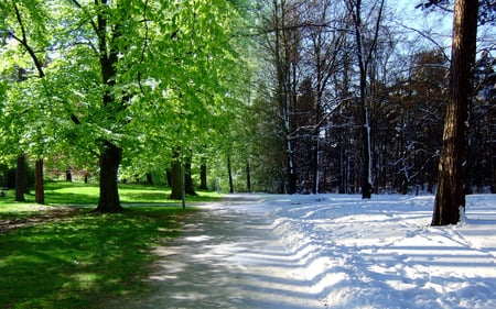 City Park Seasons - parks, seasons, trees, nature, blue, snow, green