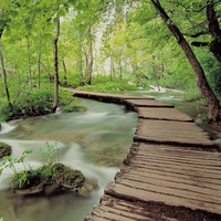 Plitvice National Park