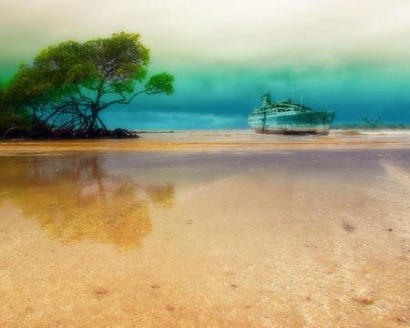 Rusty Ship at the shore - shores, nature, scenery, beaches, ship, landscape, rusty, ocean