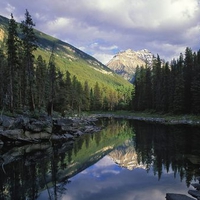 Horseshoe Lake Jasper National Park Canada