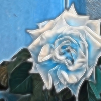 DIGITAL FLOWER