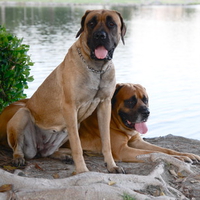 Max and Maia