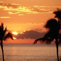 Sunset In The Tropics Maui