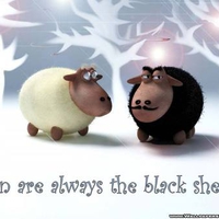 Men are Always the Black Sheep