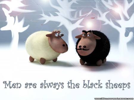 Men are Always the Black Sheep - black, white, sheep