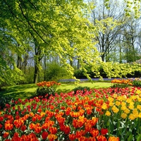 Kaukenhof Gardens Holland