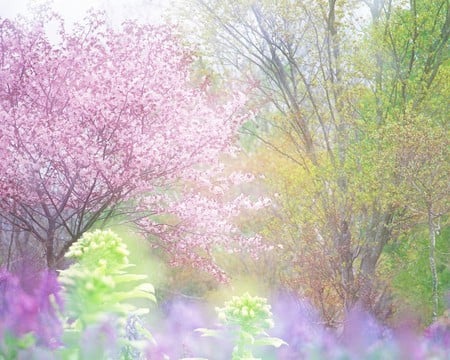  Spring - flowers, trees, beautiful