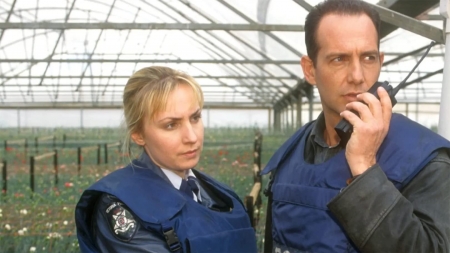 Blue Heelers - blue, heelers, police, glasshouse