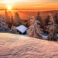 winter landscape