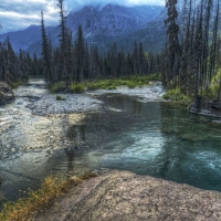 An overcast day near St. Mary Falls, Glacier National Park