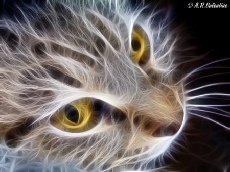 The Cat's Face - cats, nature, animals, fractal