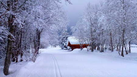 Winter in Forest - trees, road, cabin, snow, ice