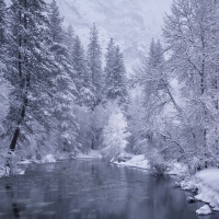 Yosemite National Park