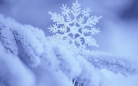 Snowflake - white, winter, blue, snowflake, iarna, snow