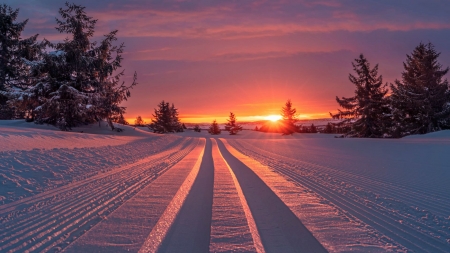 Winter in Norway - scandinavia, clouds, trees, road, landscape, snow, colors, sunset, sky