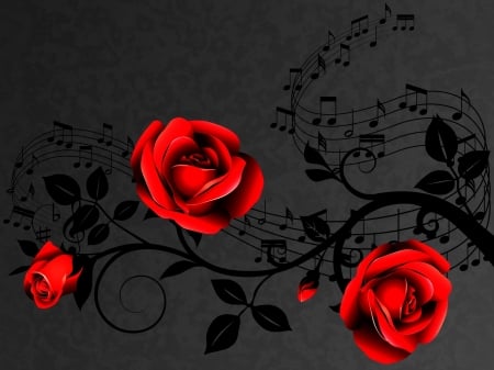 Rose - Red Roses, Black and White, Music, Roses