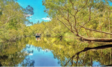 Noosa-Everglades-Upper-Noosa-River-Queensland-Australia - Trees, River, Water, Sky