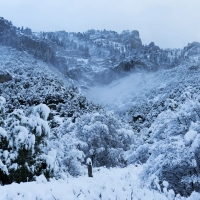 Blacksmith Fork Canyon, Utah